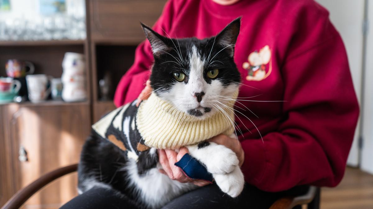 William in his favourite sweater, hanging out on Vivienne's lap in their rocking chair.