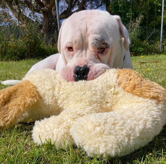 Elizabeth fell in love with this photo of Titus when browsing adoption profiles.