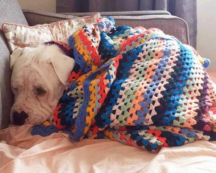 Titus found unwavering love in his new home with Elizabeth.