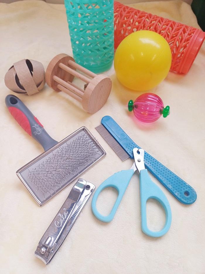 Grooming items for guinea pigs