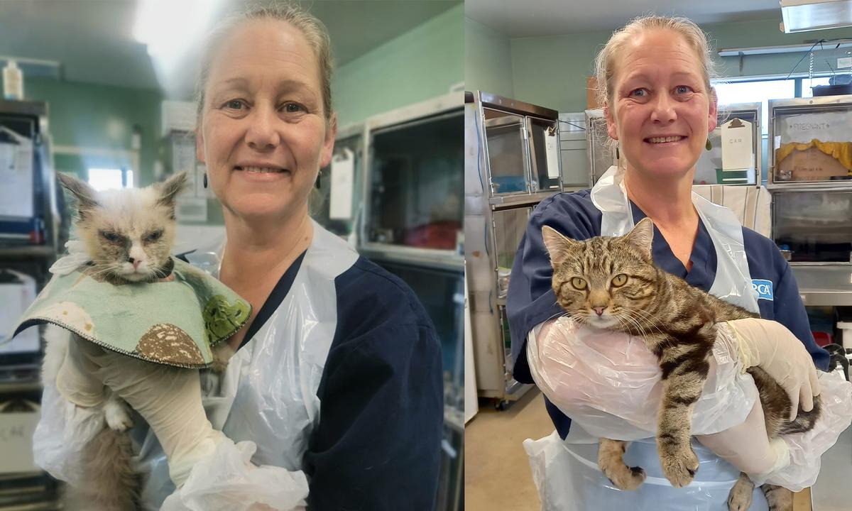 Bee with a couple of her patients.