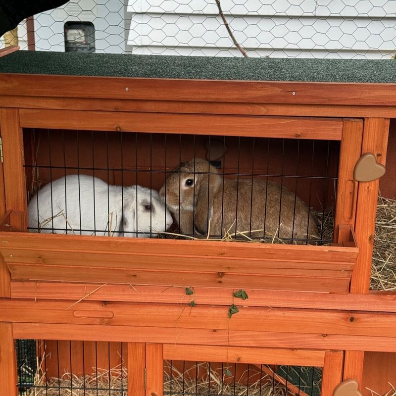 How did you find the bonding process, can you tell us about it?