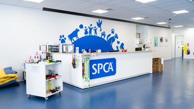 SPCA Hobsonville Centre temporarily closing for much-anticipated refurbishment