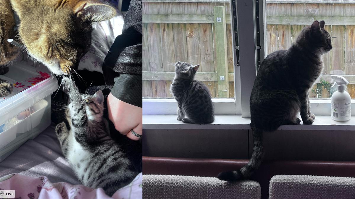 Gus and Phoebe, fast friends.