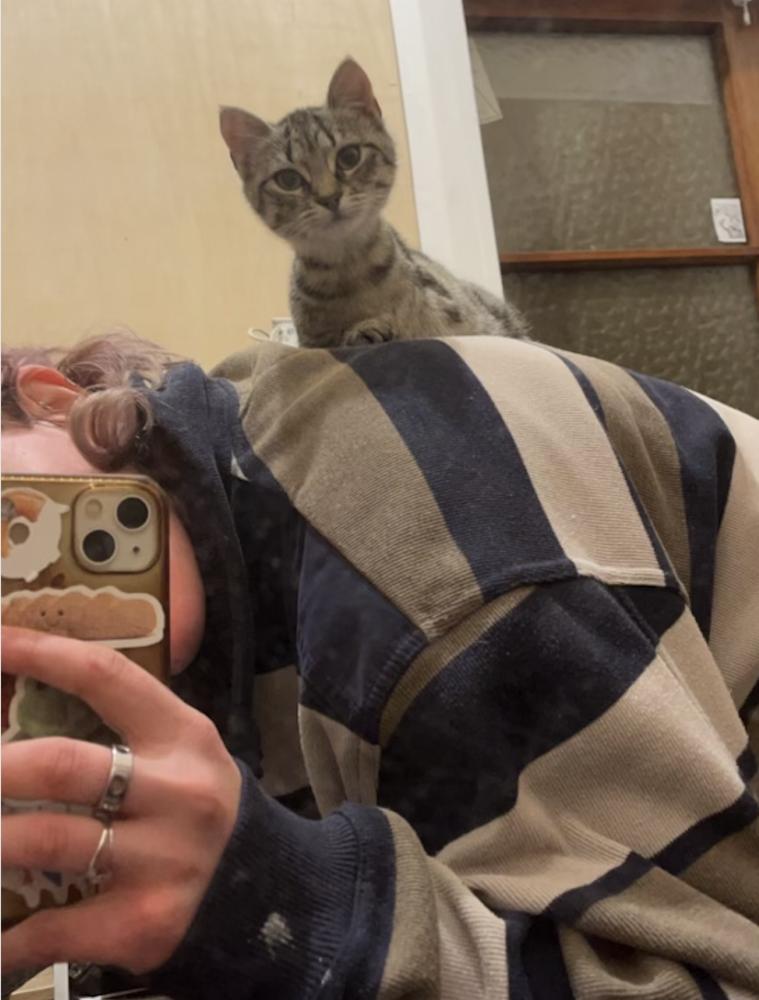 Phoebe in her usual spot atop Ivy's shoulders.