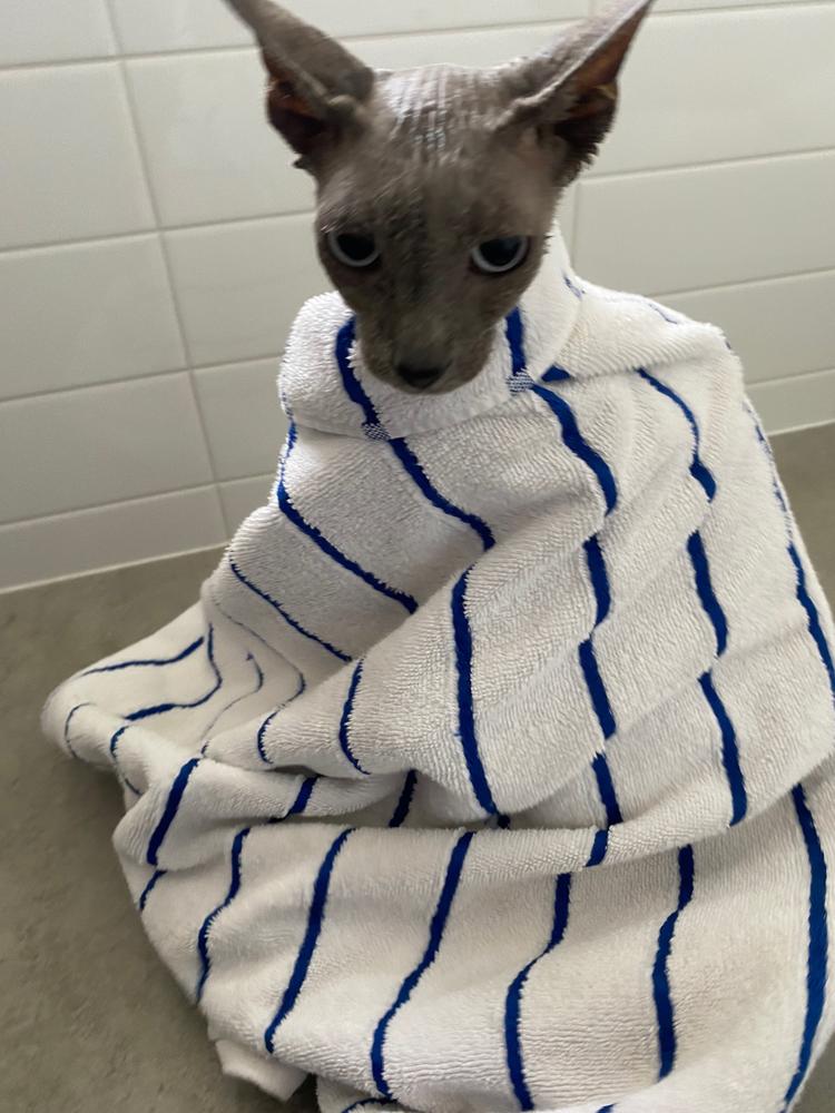 Furrdinand in a towel.
