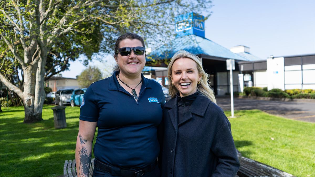 Inside the Inspectorate (with Kim Crossman)