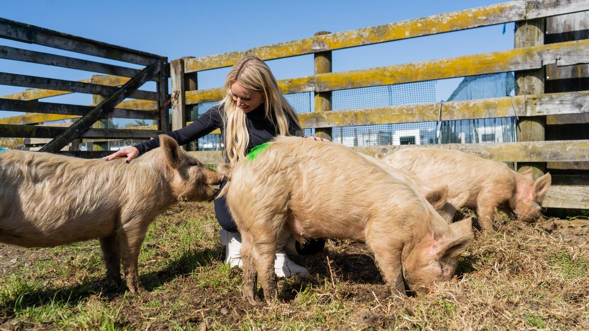 Kim with the Bridgerton piglets, named after the siblings from the show.