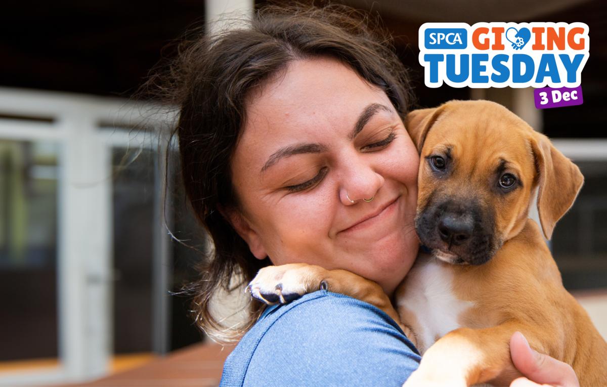 SPCA to take part in Giving Tuesday on 3 December 