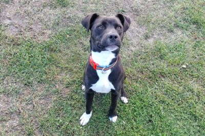 A transformation through foster care