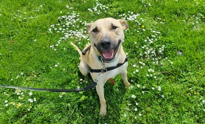 The 12 long-stays of Christmas