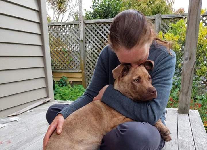 Summer canine adventures: A Q&A with professional dog walker Nabhoniya