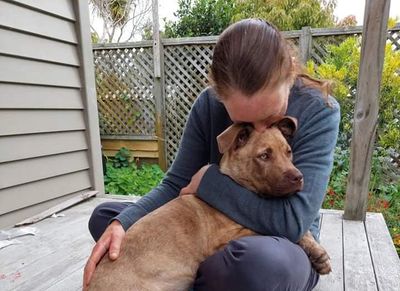 Summer canine adventures: A Q&A with professional dog walker Nabhoniya