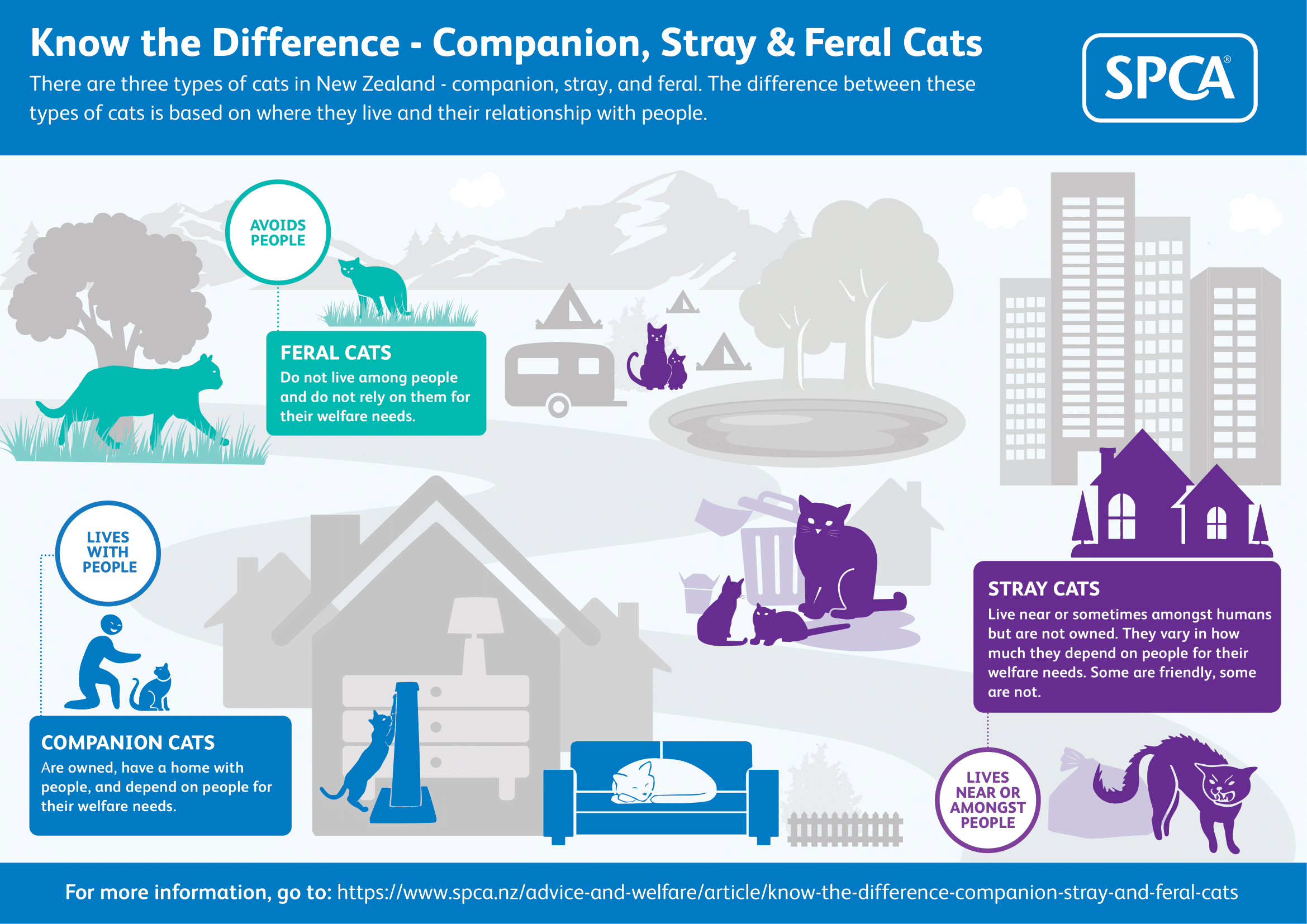 Types of cats infographic_companion, stray, feral