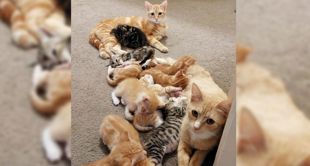 A tale of two mums: Holly and Eve's story