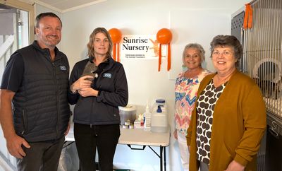 Brand-new cat maternity room opens at our SPCA Gisborne Centre