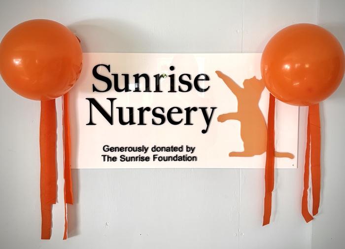 Sunrise Nursery sign on the wall