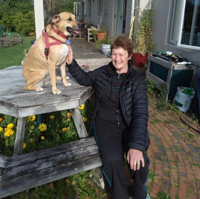 Dog sitting on table next to owner