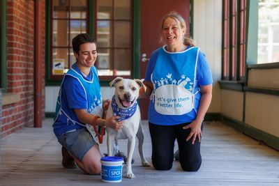 Calling for volunteers – can you help SPCA 'Fill the Bucket'? 