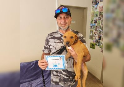 SPCA animals head to loving forever homes with ‘Clear the Shelters’ campaign 