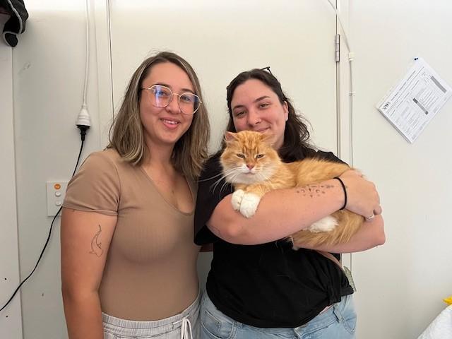 Mufasa being held by his owners after being reunited