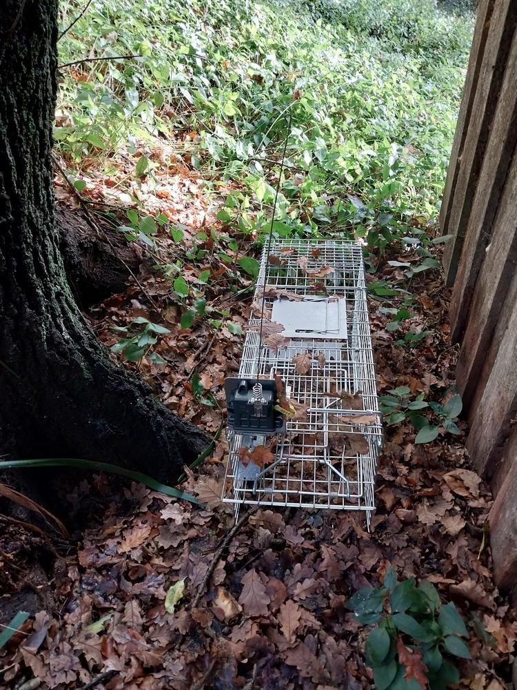 Live trap remote monitoring system alerts the user when trap has gone off