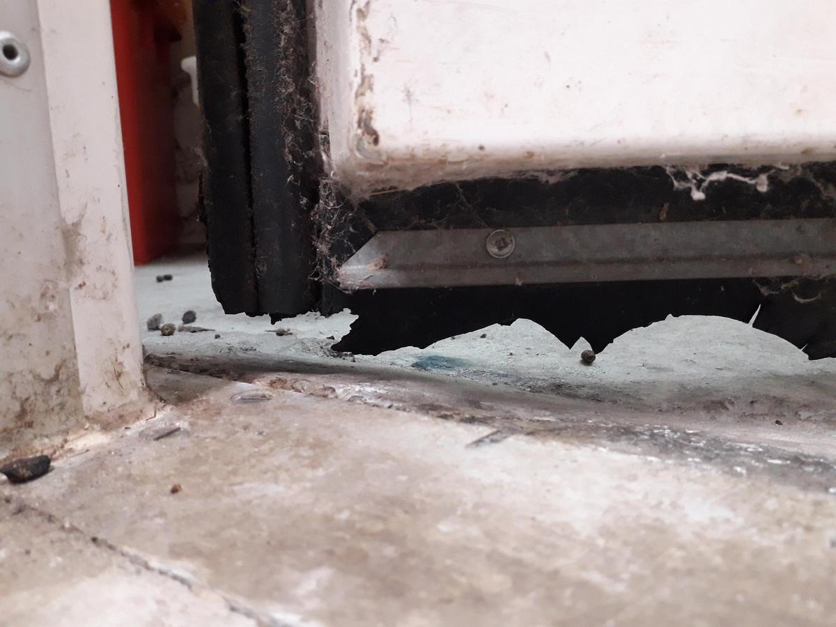 Rodents may chew on excluders hung from the bottom of a door, which makes the excluder ineffective in keeping them out of an area