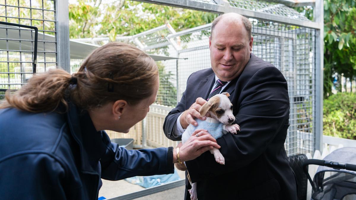 The Minister holds a small spotted puppy, who is wearing a jumper. Dr. Arnja Dale reaches out to pet the puppy.
