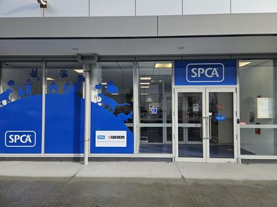 SPCA unveils new Hobsonville Centre 