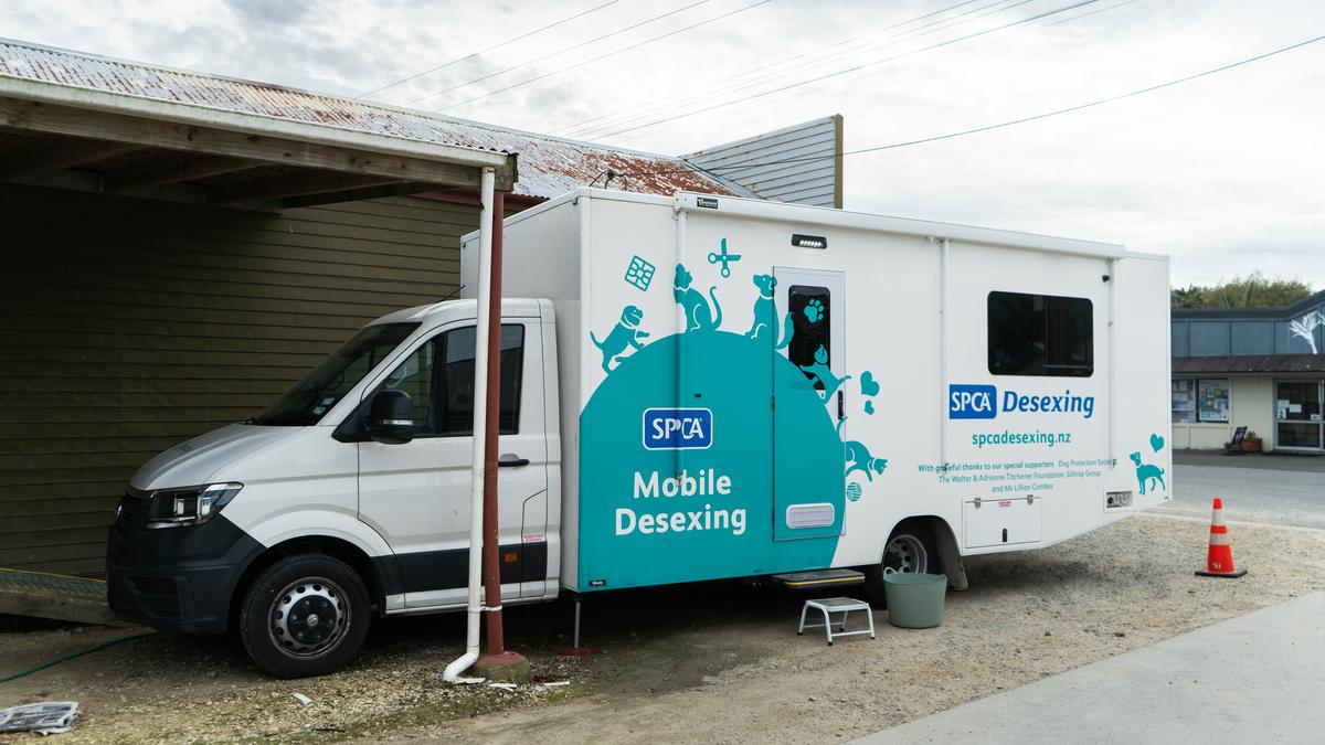 SPCA’s Mobile Desexing Clinic provides support to isolated West Coast community 