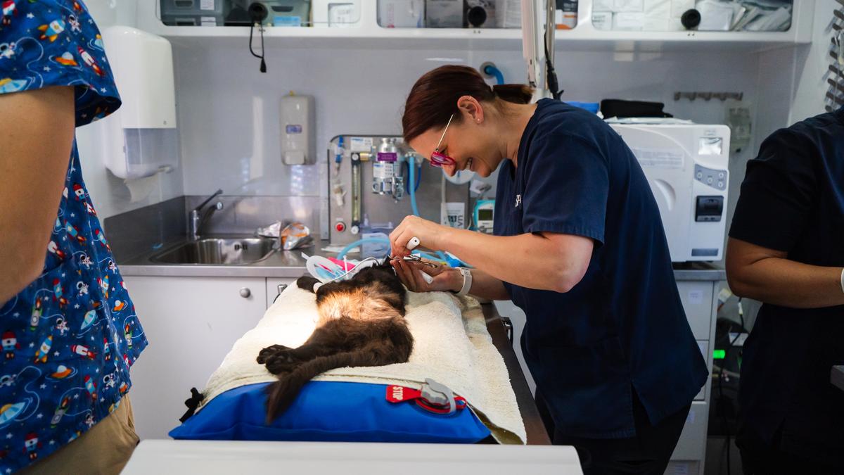 A woman with brown hair holds medical scissors.