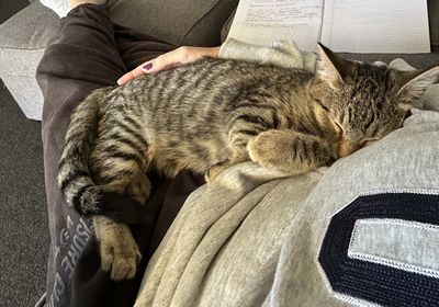 Happy adoption story: OJ