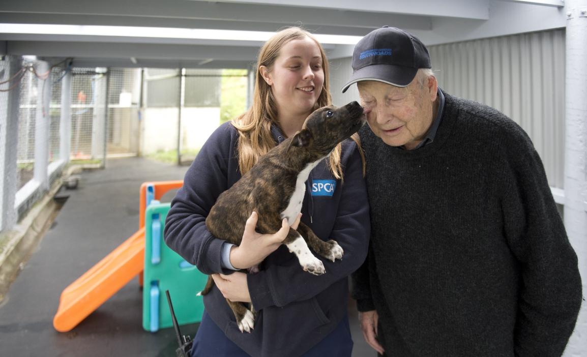 SPCA puppy licking a man on the face, who is smiling