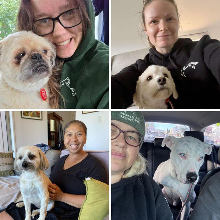 Staff and dogs from The Dog Rescue Project