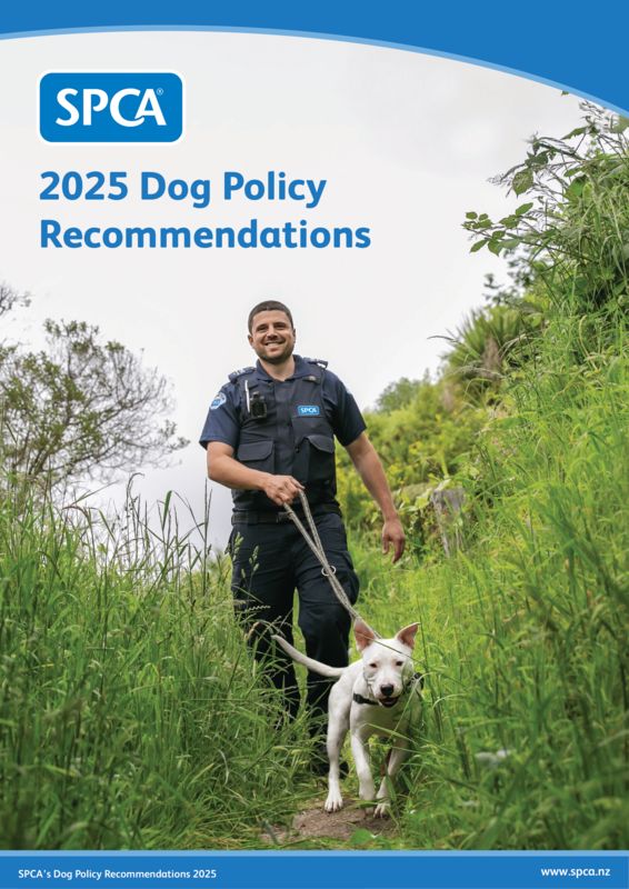 Dog policy recommendations - Minister Hoggard