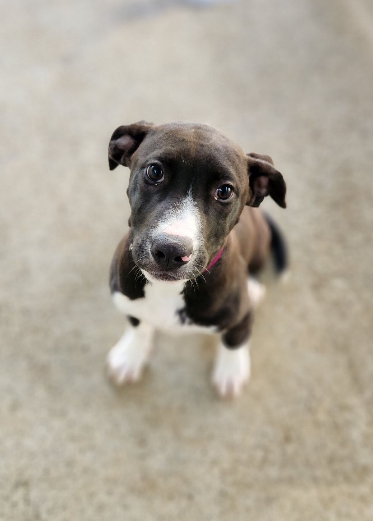 Gallery image: Topaz