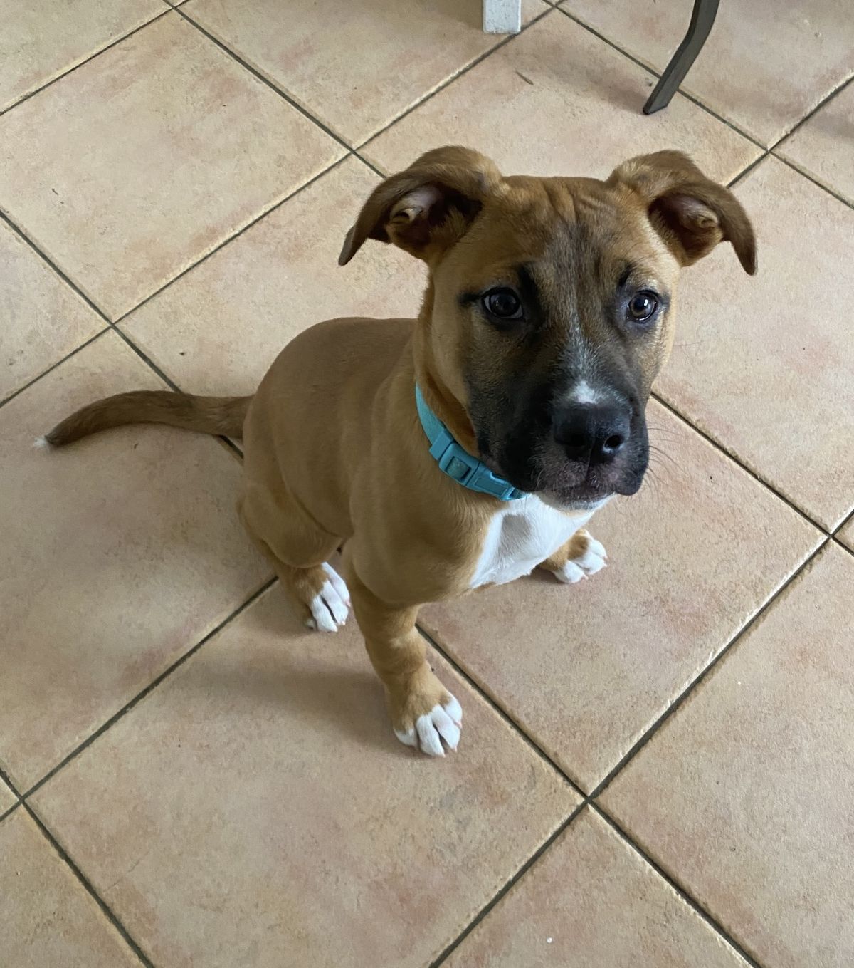 Gallery image: Truffle