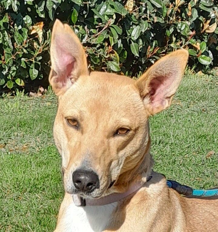 Gallery image: Maisie