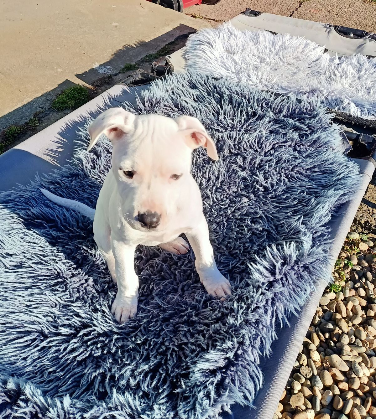 Gallery image: Lottie