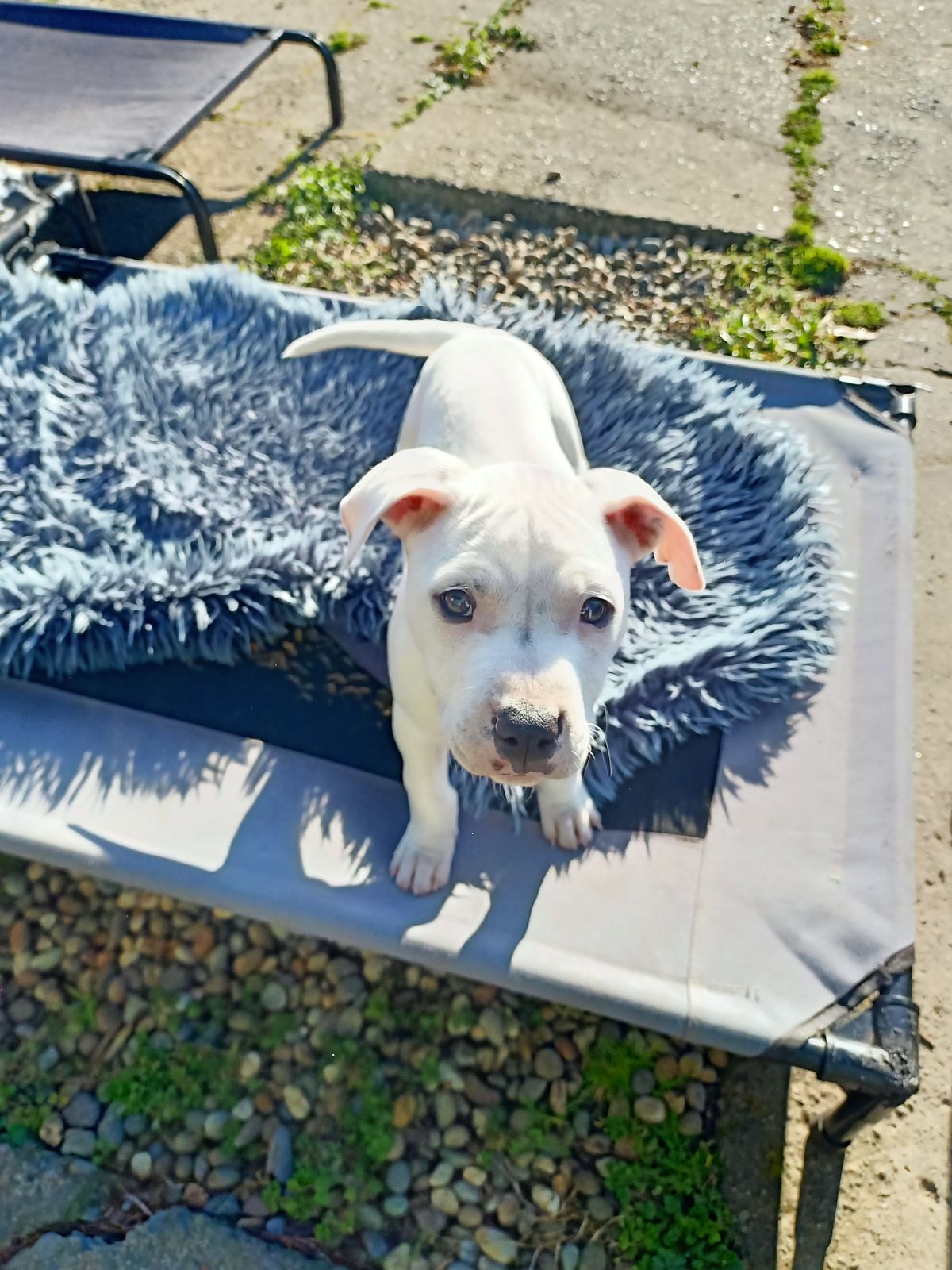 Gallery image: Lottie