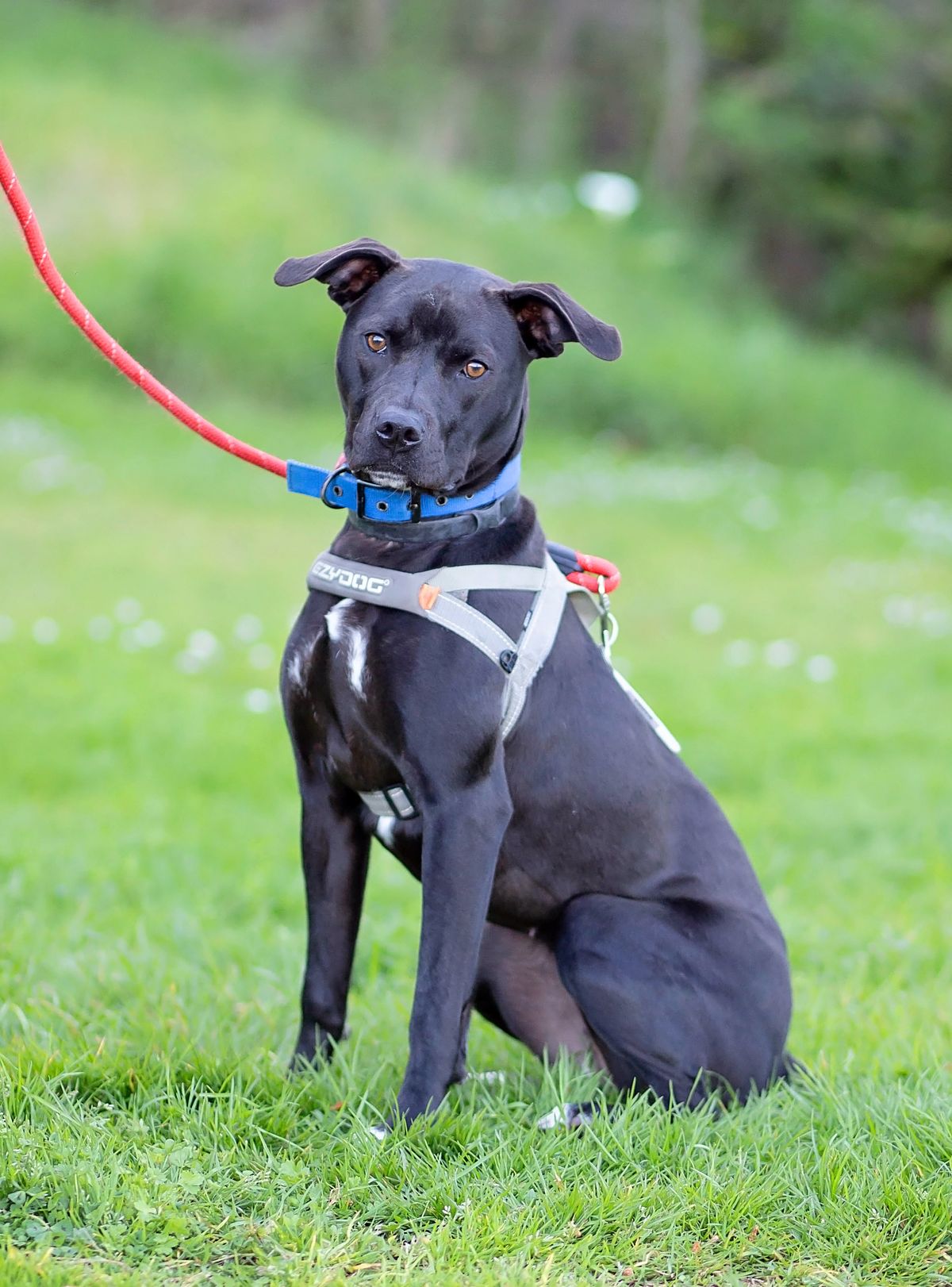 Gallery image: Barra