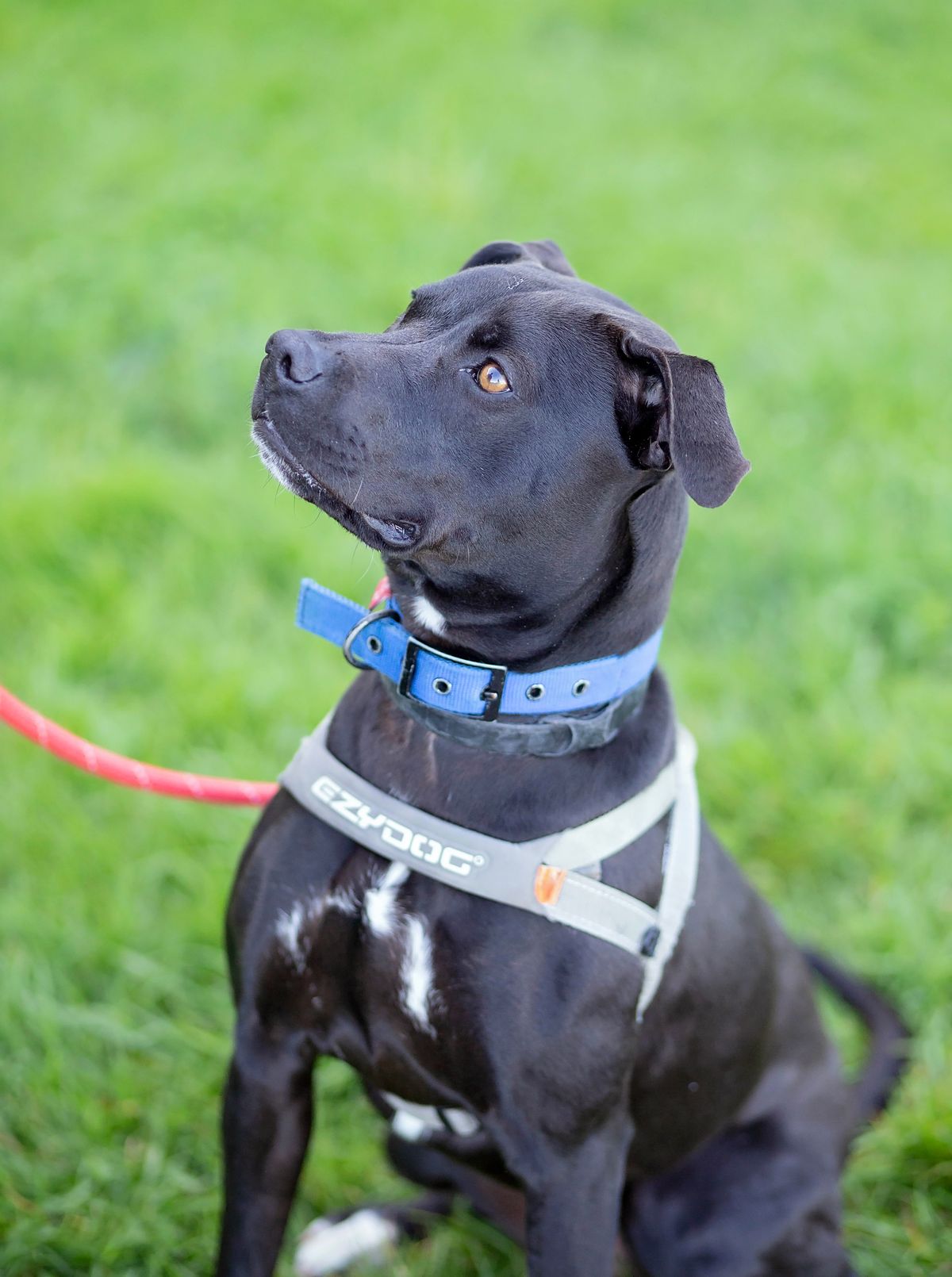 Gallery image: Barra