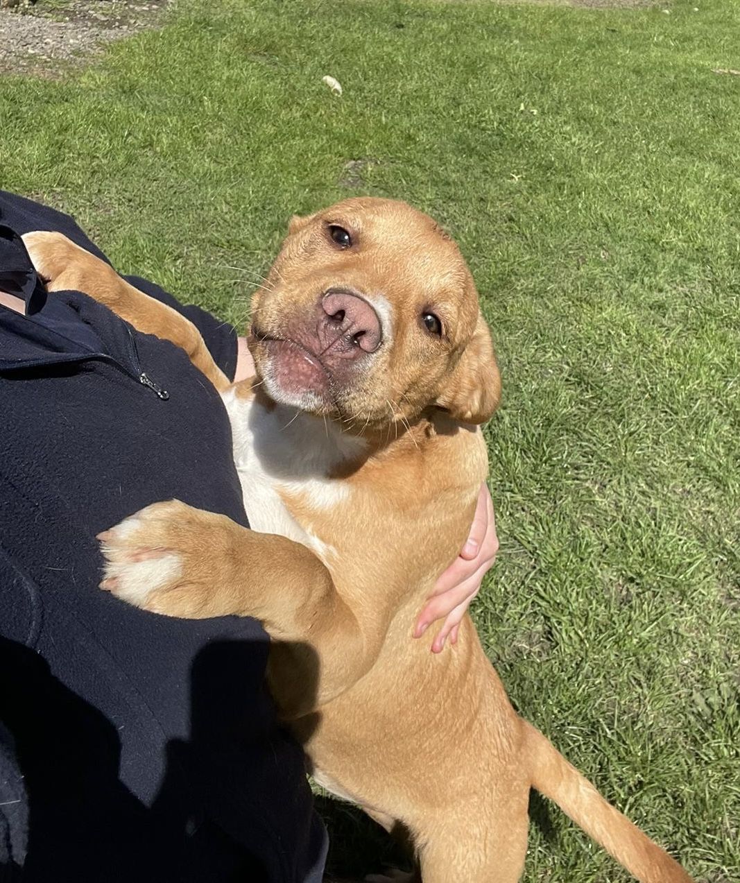 Gallery image: Jaycee