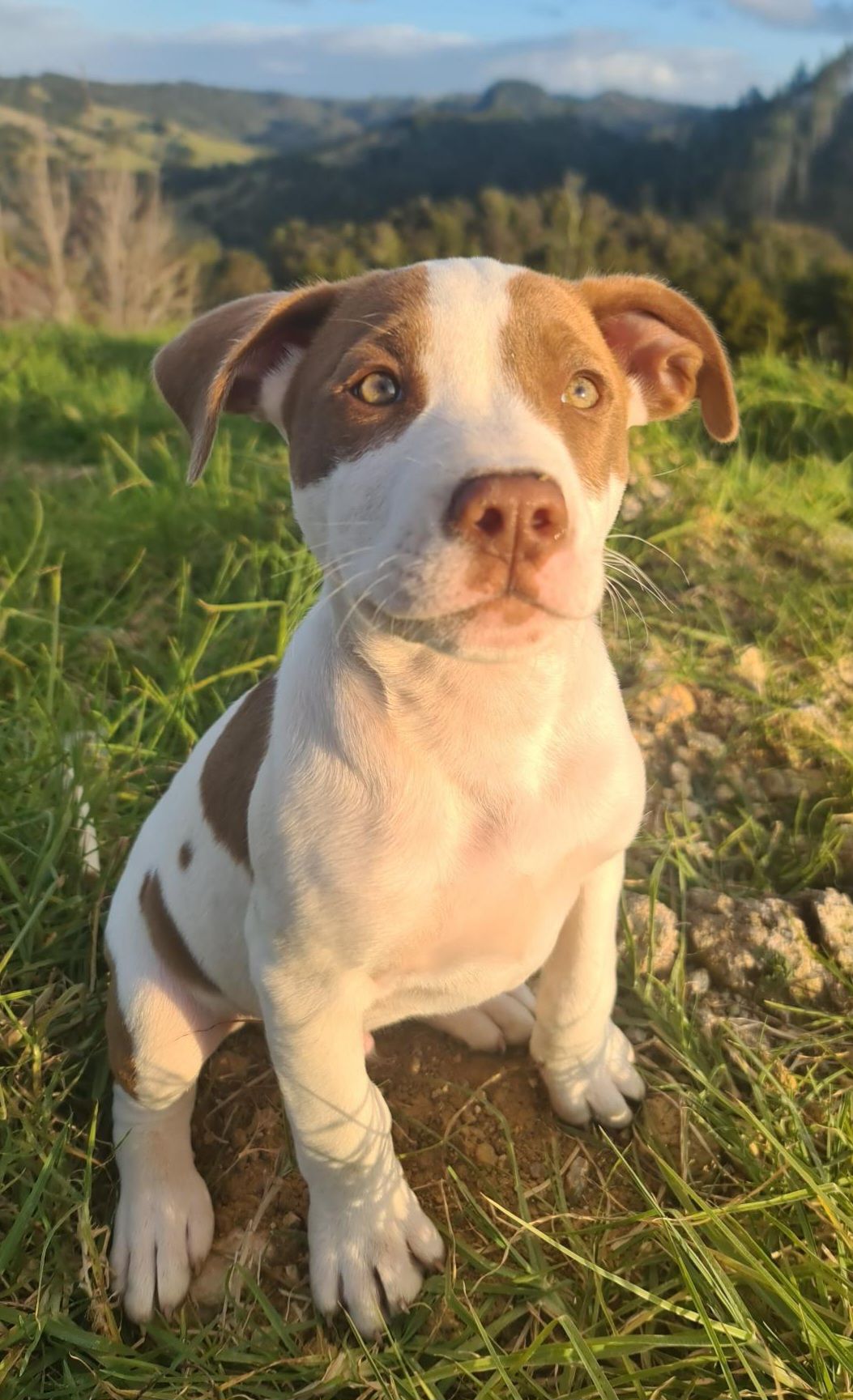 Gallery image: River