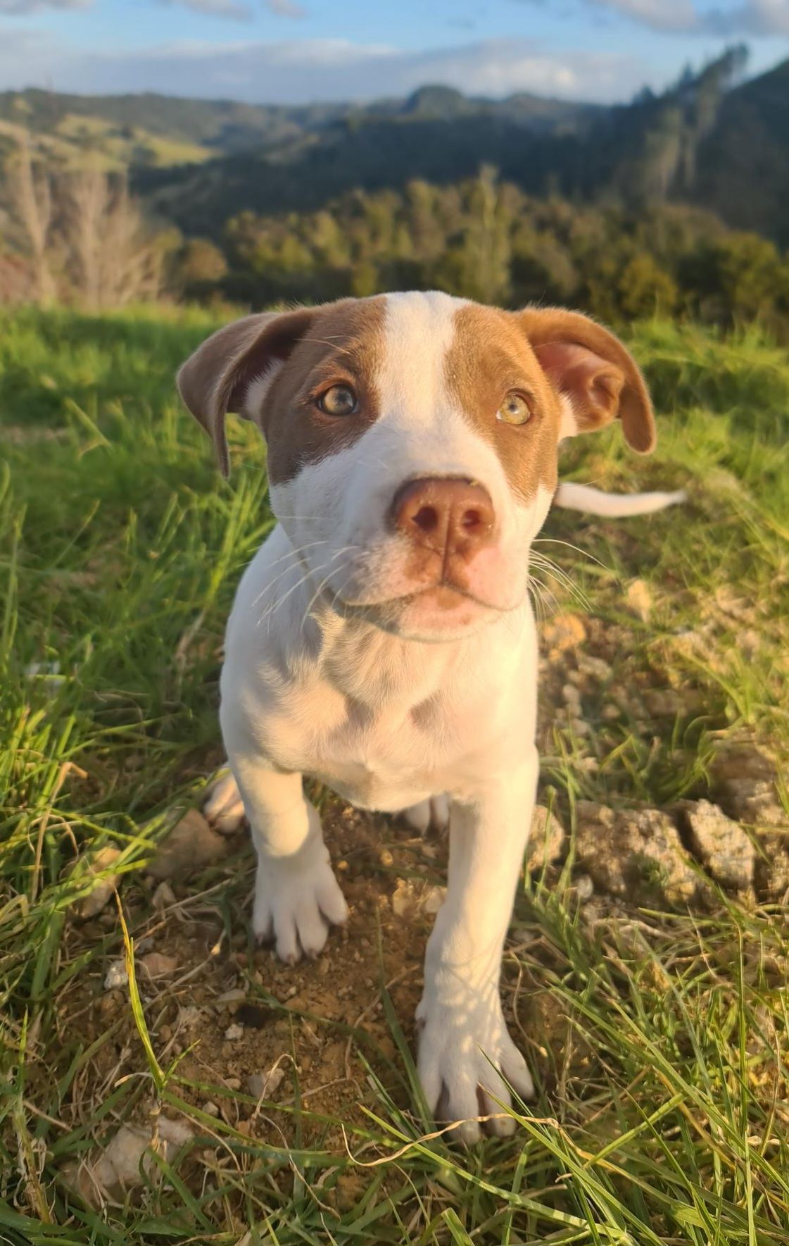 Gallery image: River