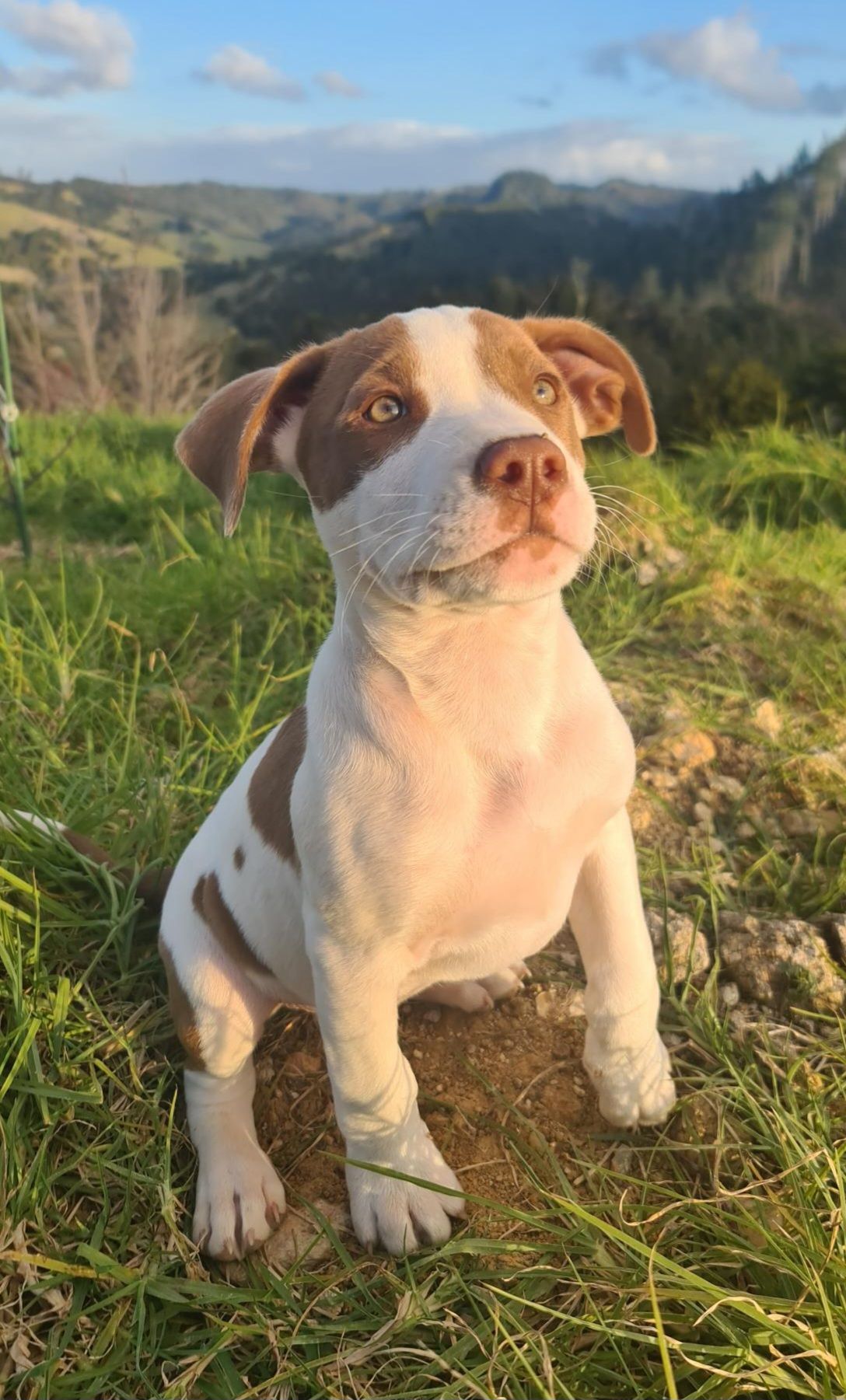 Gallery image: River