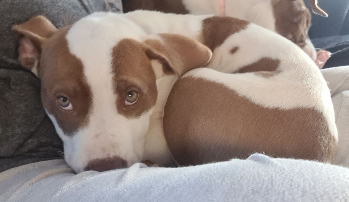 Gallery image: River