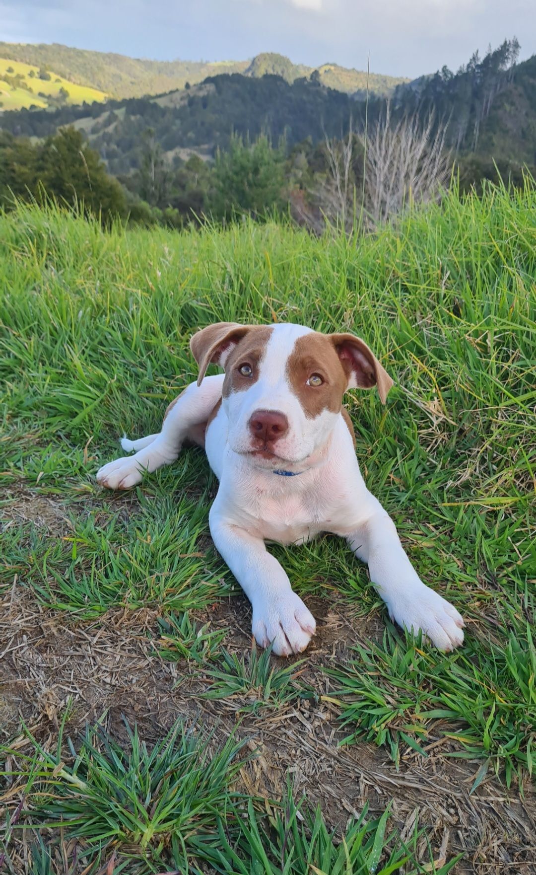 Gallery image: River