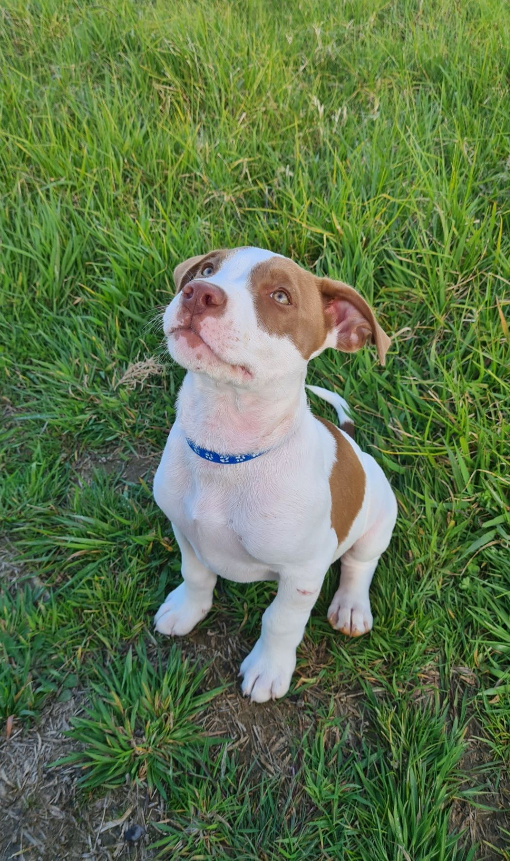 Gallery image: River