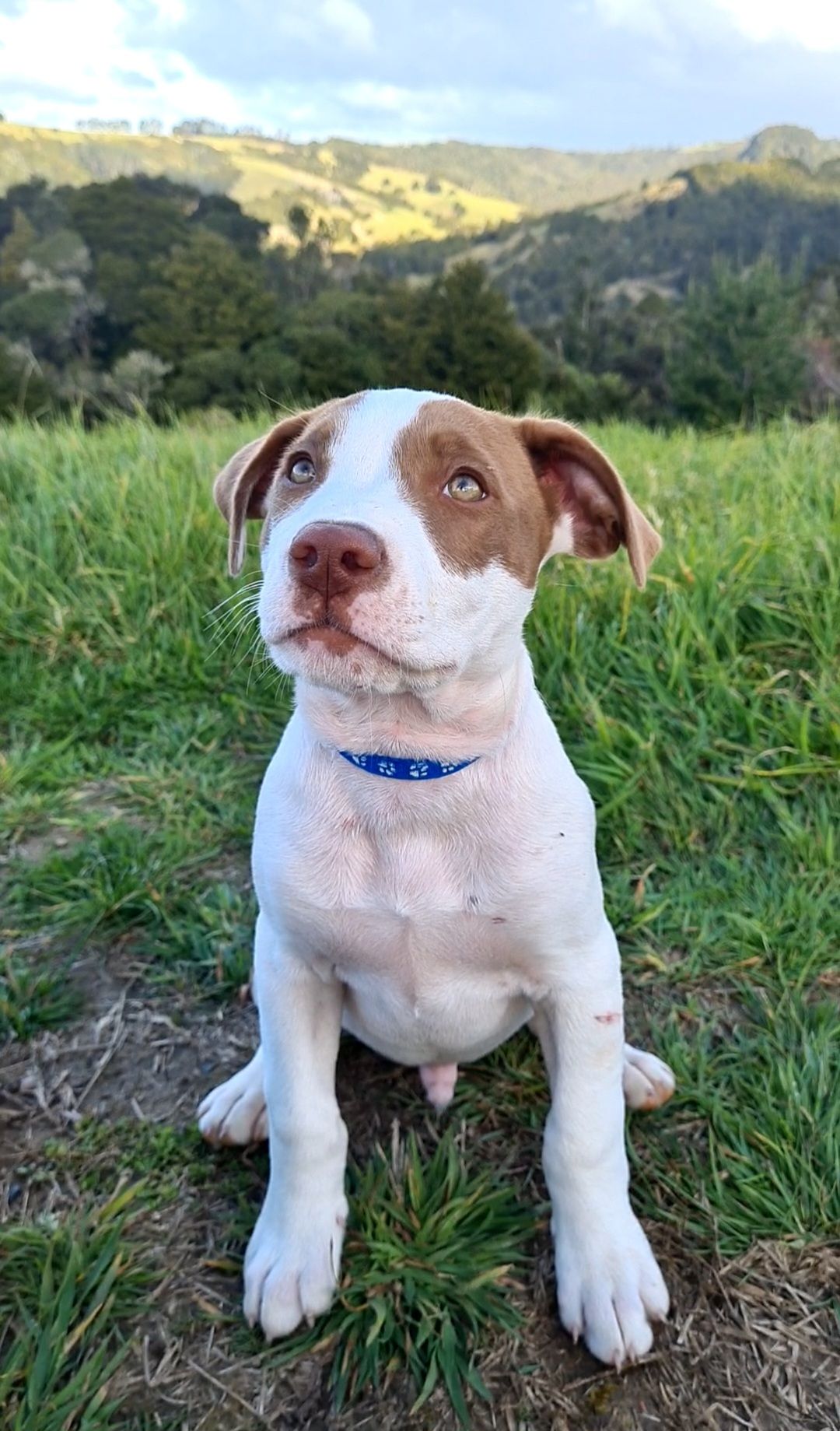 Gallery image: River